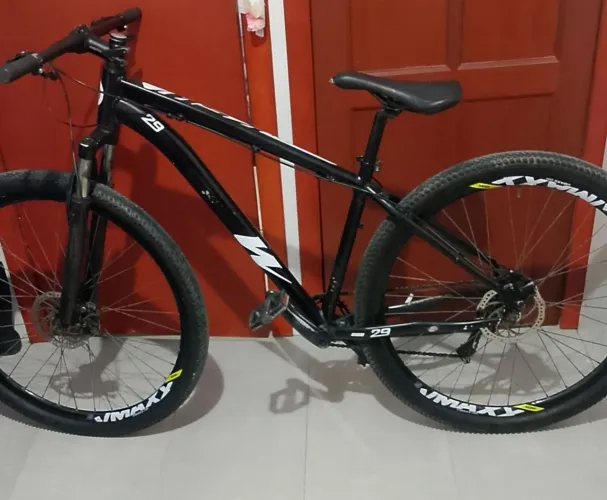 Bicicleta