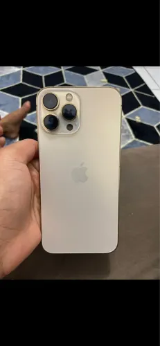13 pro max