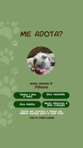 Adote o filhote ?