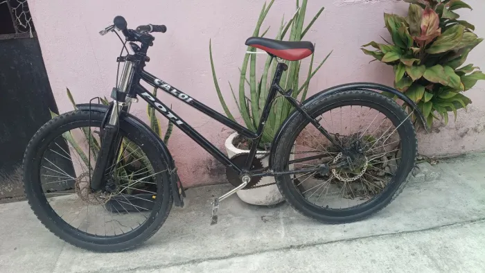 Vendo essa bicicleta ?