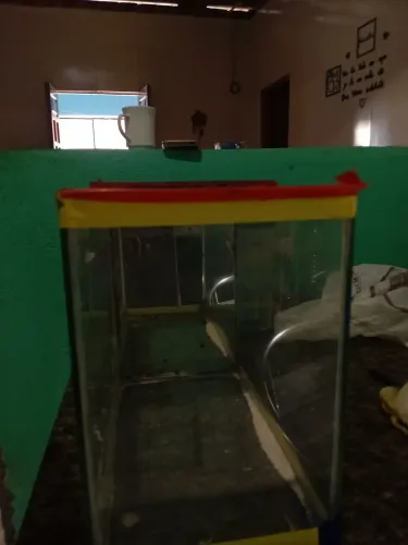 Aquários e Aqua-terrario