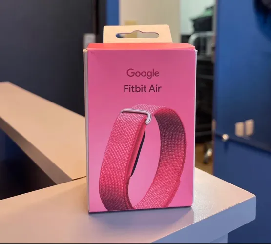 Pulseira Google Fitbit Air