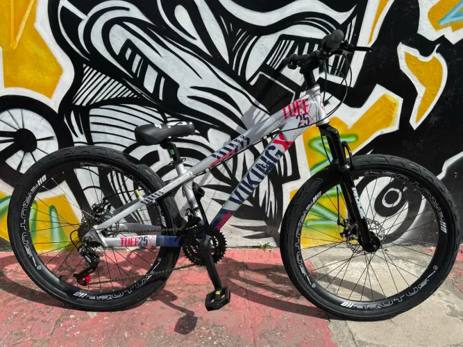 BICICLETA VIKING TUFF