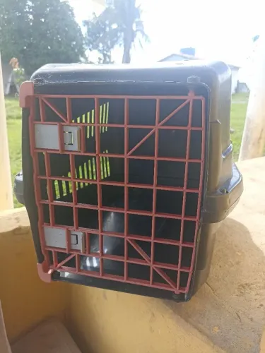 Caixa transportadora de animais