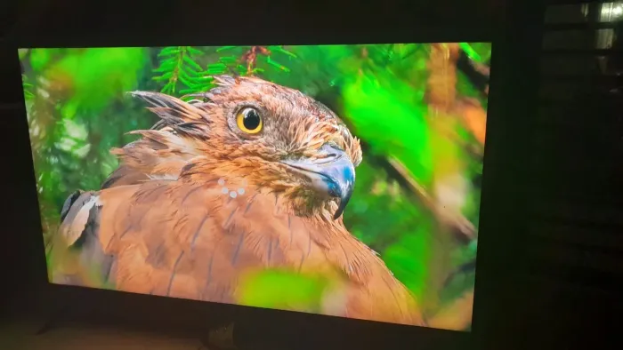 Oportunidade tv 50 4k Samsung Borda infinita 1699$