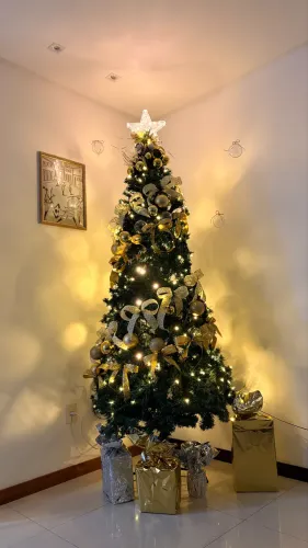 Árvore de natal