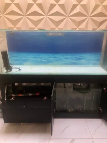 AQUÁRIO PARA PEIXE JUMBO