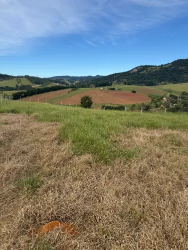 Vendo chacara paraibuna