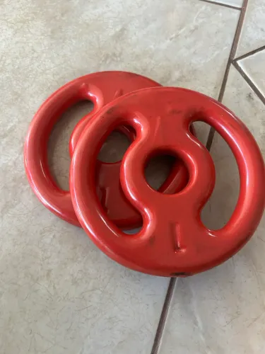 Par de anilha 1kg