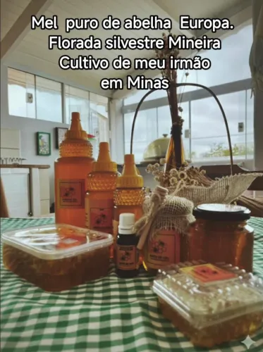 Meu 100% Puro,Abelha Europa, Florada Silvestre Mineira
