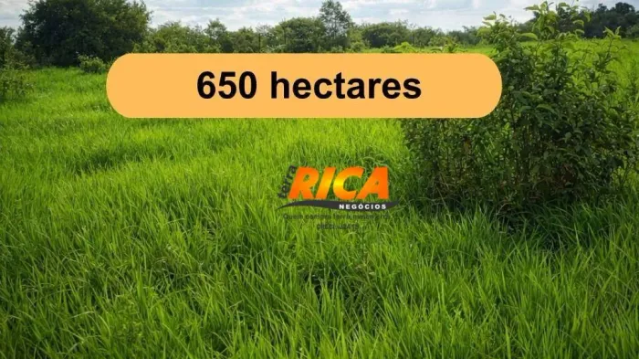 Fazenda à venda, 6500000 m² por R$ 4.500.000,00 - Zona Rural - Apuí/AM