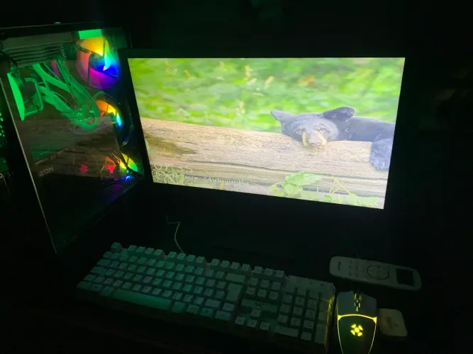 Pc gamer completo