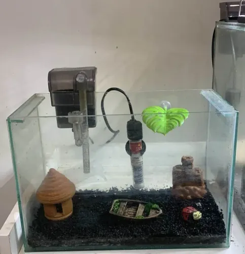 Aquário 10 l completo com termostato filtro com decoraçoes e com basalto de substrato 