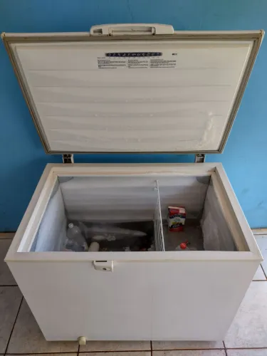 Freezer Electrolux 300 litros w110