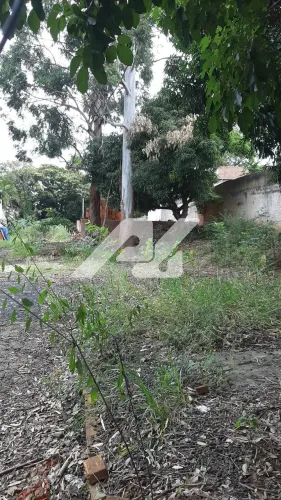terreno - Cidade Universitária - Campinas