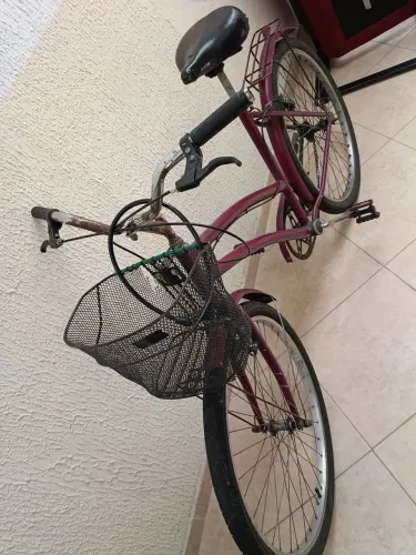 Bicicleta tipo poti