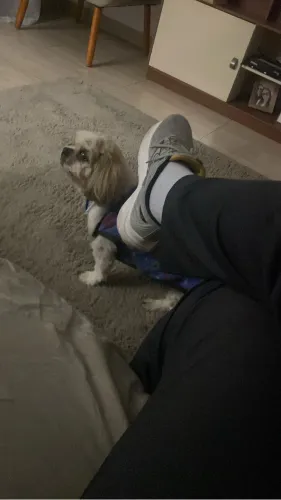 Sapato mizuno