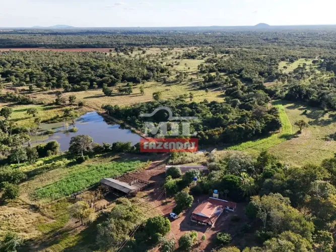 Fazenda 38 Alqueires (184 Hectares) Talismã - TO