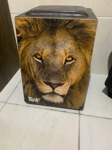 Cajon elétrico nobre tok