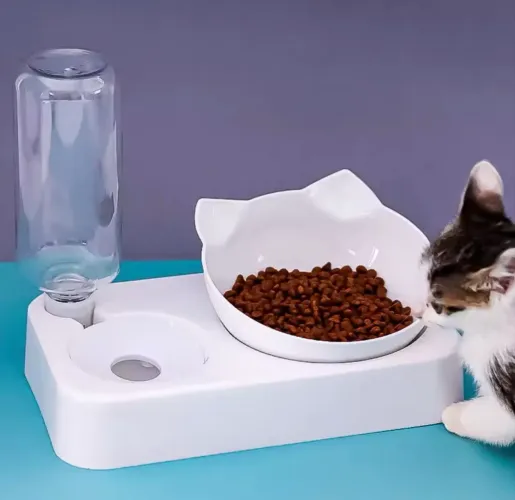 Vasilha para gatos