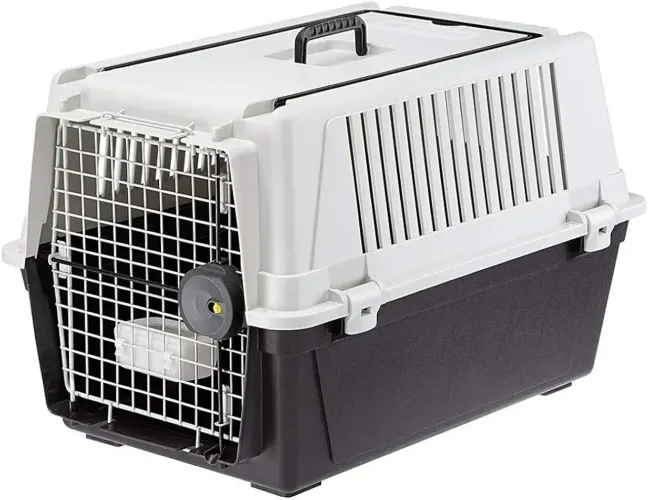 CAIXA TRANSPORTE DE CÃES E GATOS