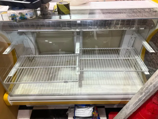 Freezer Expositor 110v