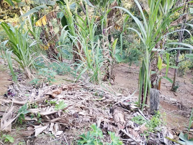 Vendo chácara 20x50mt