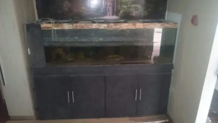 Aquario pra livrar espaço