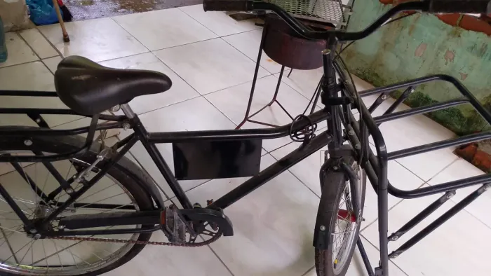 Bicicleta de Carga
