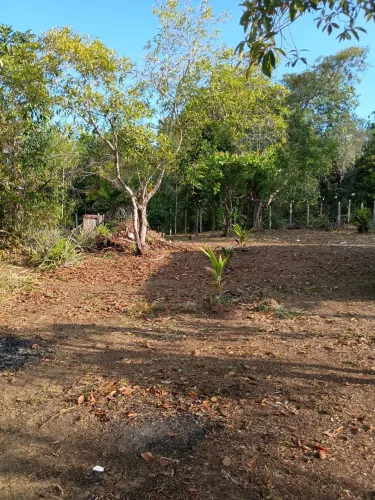 Terreno Comunidade do Livramento