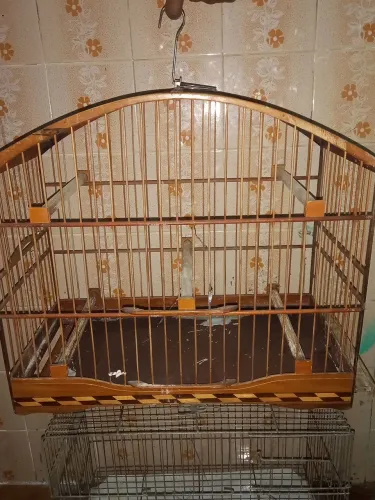Gaiola 2 por 50$