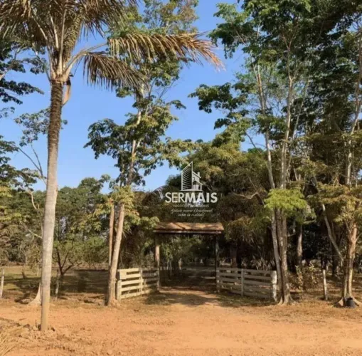Vende-se Sítio na BR-319 Sentido Humaitá, a 30 Minutos de Porto Velho