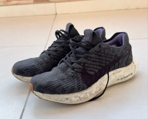Nike Pegasus Next Nature