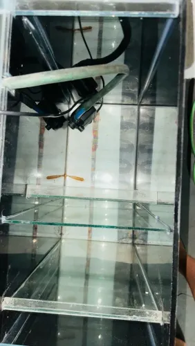 Aquário Jumbo 300 litros
