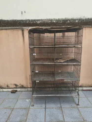 Viveiro para canarios,