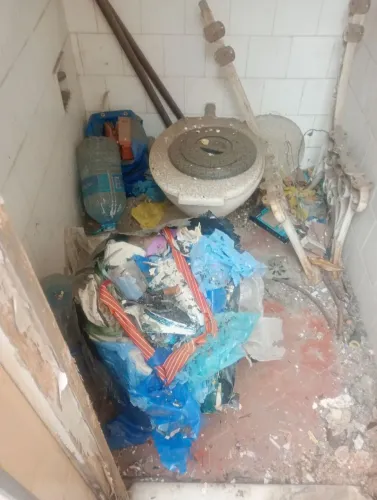 Limpeza qualquer , lugar , quintal , casa