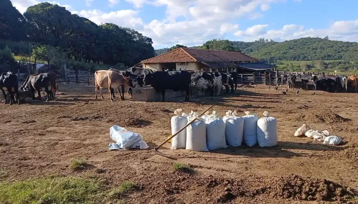 ESTERCO PURO DIRETO CURRAL 