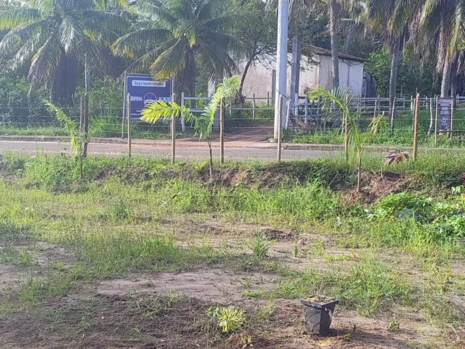 Vendo terreno amplo 900m² (15x60) - ótima localização 