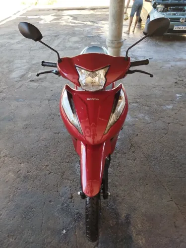 Biz ex 2025/2026