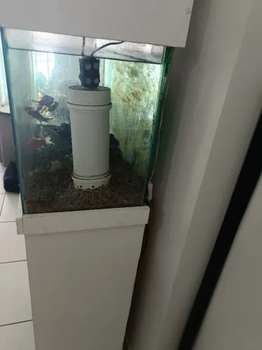 A guario de 160 litros com estante naval