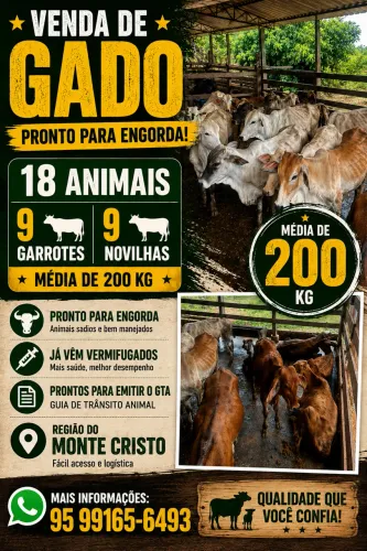 Gado