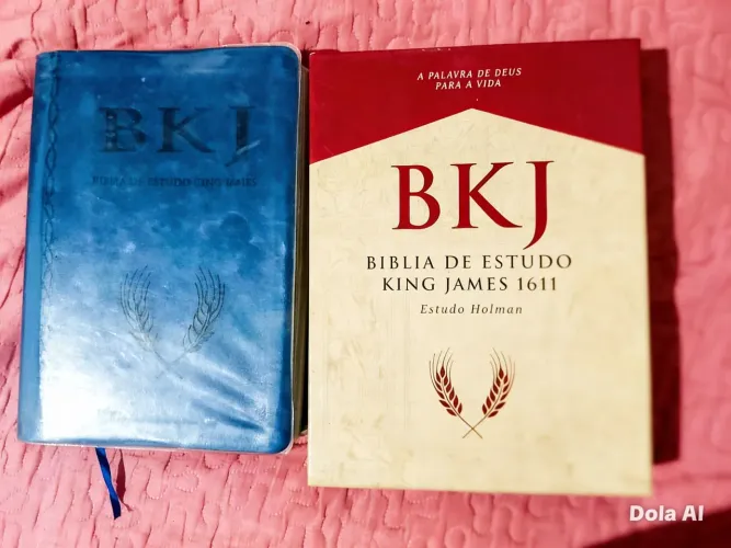 BÍBLIA DE ESTUDO KING JAMES HOLMAN 
