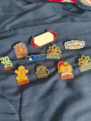 Pin Outback