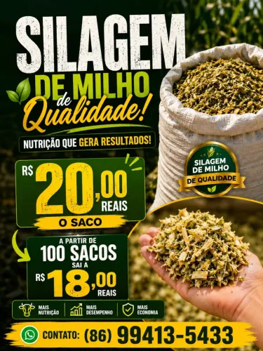 Vendo silagem