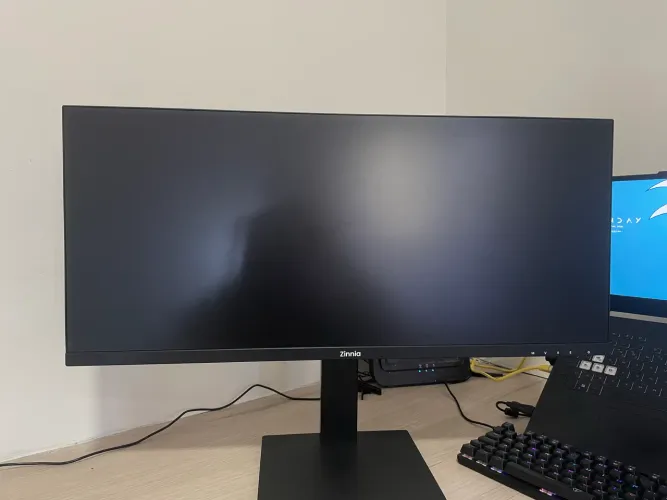 Monitor Pegasi UW29 100hz