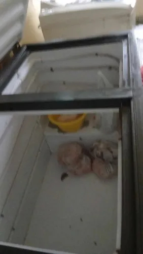 Vendo frezzer usado