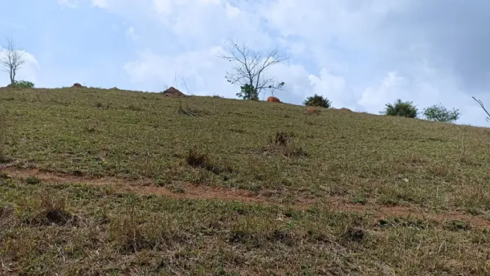 Sitio de 3 alqueires em paraibuna com frente pro rio paraiba