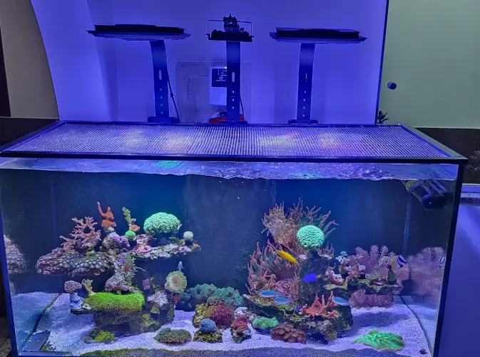 Luminária de Aquário Maxspect Jump MJ 165