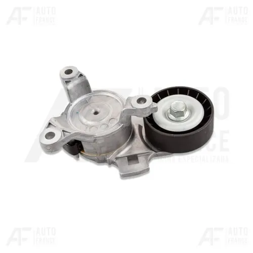 Tensor da Correia de Acessórios Alternador Poly-v Peugeot Citroen C3 207 208 C4 C3 Picasso