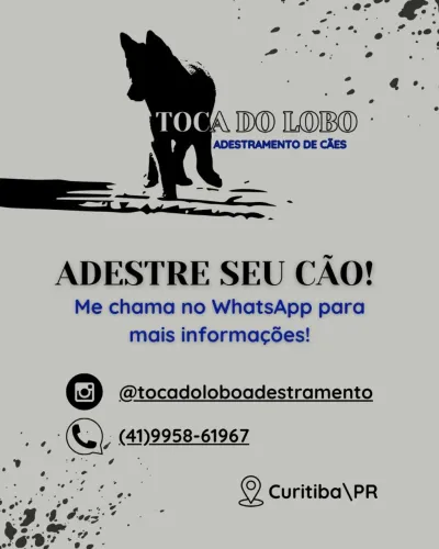 Adestramento de Cães 